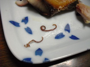 アニサキス 焼き魚