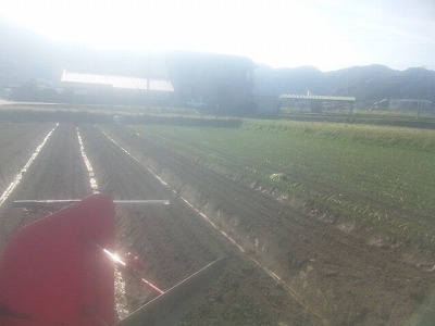 平日はサラリーマン 休日は我が家の畑 淡路島で野菜を栽培 玉ねぎを植える準備です 畝幅は90センチ位かな