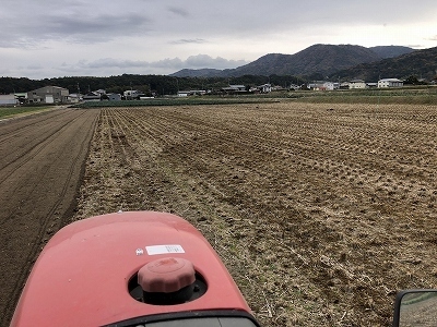 平日はサラリーマン 休日は我が家の畑 淡路島で野菜を栽培 淡路島玉ねぎ ターザン