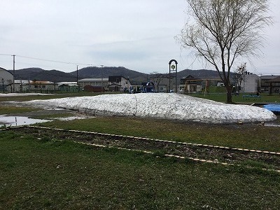 20190506_kitanopark.jpg