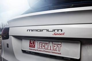 Techart-Magnum-12.jpg