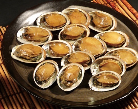 ク イ ズ の 答 え 合 わ せ 高知県では ナガレコ と呼ばれる アワビに似た食用の貝は