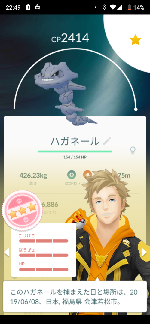 ポケモンとポケモンgo最高 ハガネール100