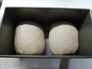 1.5斤天然酵母パンの２次発酵前
