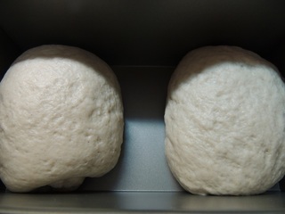 フッ素樹脂加工1.5斤型とパン生地