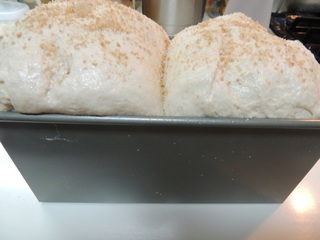 二次発酵後のイギリスパン（山型食パン）