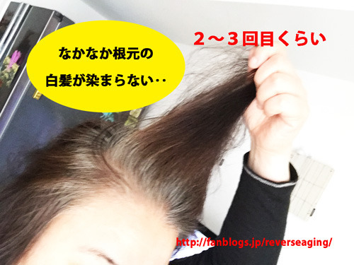 hatumoe_5_25_8.jpg