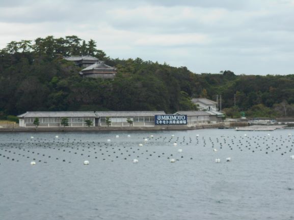 7ミキモト真珠養殖場.JPG