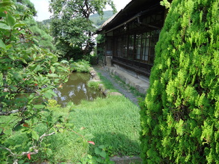  shirononagori kaminoyama (5).JPG