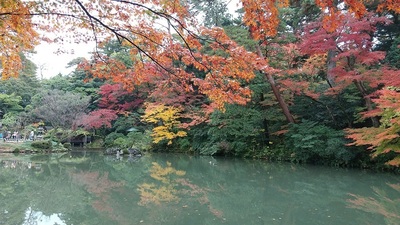 Kenrokuen-Garden.JPG