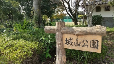 Kisai-Shiroyama-Park.JPG