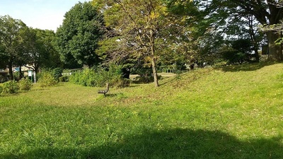 Kisaijo-Shiroyama-Park.JPG