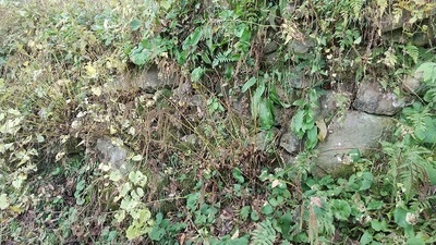 Miharu-castle-Buried-Stone.JPG