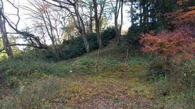 Miharu-castle-Higashidate-Hill.JPG