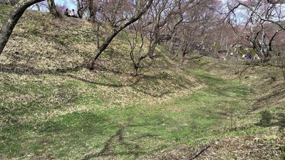 Moat-Takato-Castle.JPG