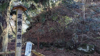 Part-of-Ashigara-Castle.JPG