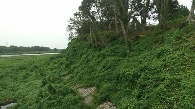 River-Side-Castle.JPG