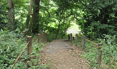 Sanganshimizu-Wooded-path.JPG