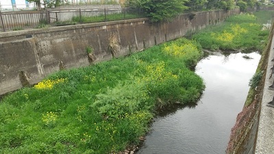 Sengawa-River.JPG