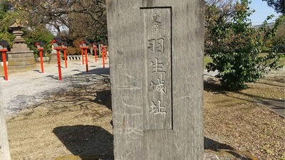 Stone-monument-Castle-Hanyu.jpg