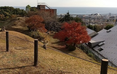 Tsuwamonogayumenoato-Odawara-Castle.JPG