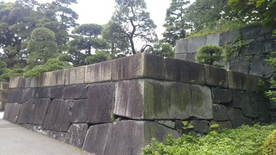 shirononagori239 (5).JPG