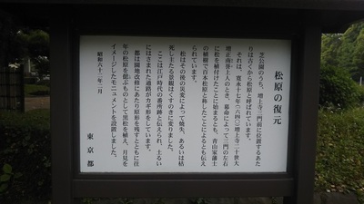 shirononagoriMATSU (7).JPG