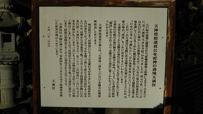 shirononagori300 (4).JPG