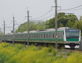 2018-0423-FUYASASI.JPG