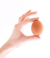 egg_in_hand.jpg