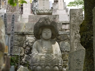 京都eこころ アフロ 大仏