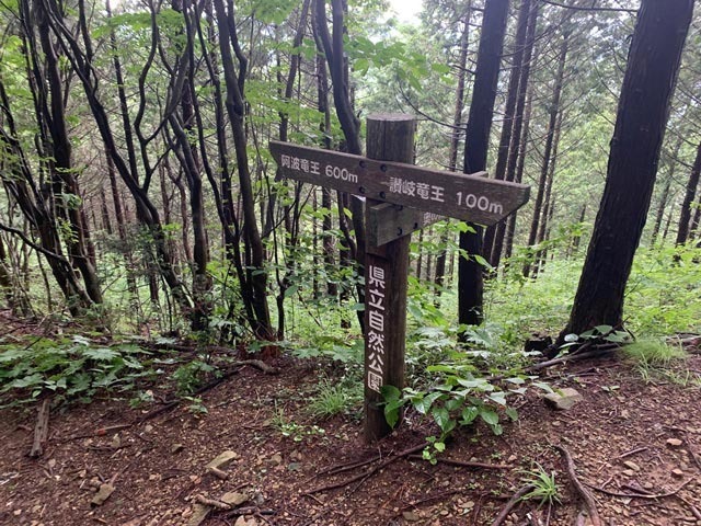 讃岐・阿波竜王分岐