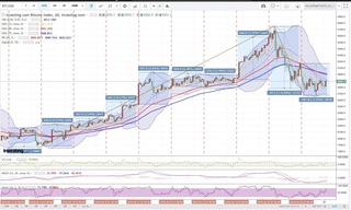 20180427_01-51_BTC-USD_1h_chart_with_volatility2week.jpg