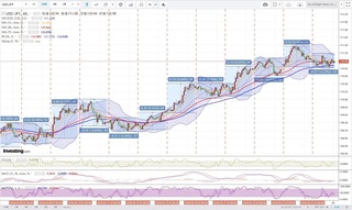 20180523_01-23_USD-JPY_1h_chart_with_volatility2week.jpg