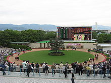 220px-Kyoto_Racecourse_Paddock_200710.jpg