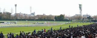 Nakayama-Racecourse03.jpg