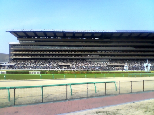 Tokyo_Racecourse_Fuji_view_stand_20090224.jpg