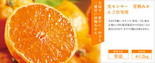 orange_1247.jpg