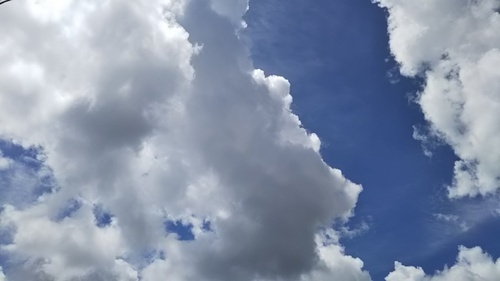 お空好きさんにおすすめ 天気の観察図鑑 雲の名前 空のふしぎ 口コミ プチさんぽのこれみっけ