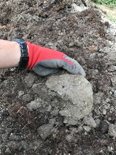 ゆるゆるファーム 農園 畑の土づくりは粘土質の改良から 堆肥を入れて簡単だよ