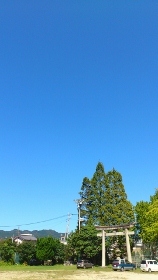 blue sky autum (158x280).jpg