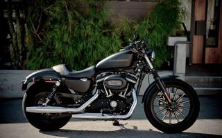 Harley-davidson-sportster-iron-883.jpg