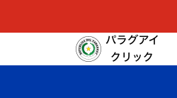 Flag_of_Paraguay.svg.png