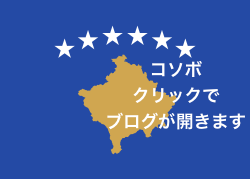 Flag_of_Kosovo.svg.png