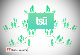 Tsu-Social-Network.jpg