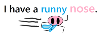 I have a runny nose..png