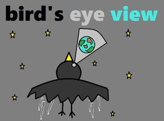 bird's eye view.png