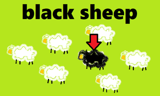 black sheep.png