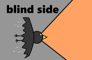 blind side.png