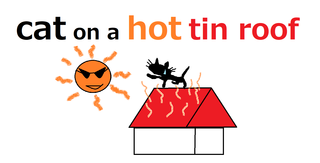 cat on a hot tin roof.png